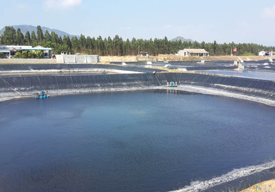 技術(shù)常識(shí) 土工膜