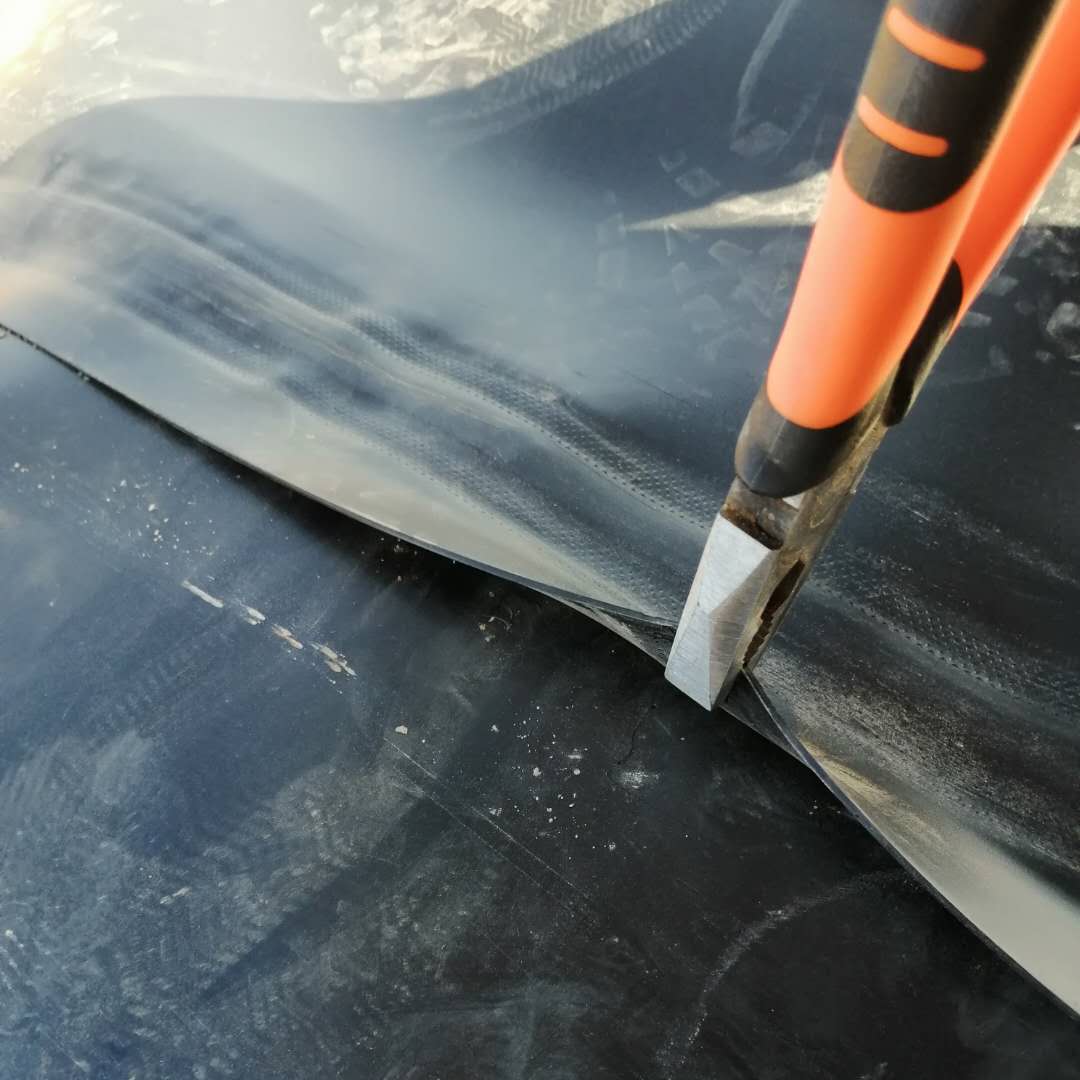 1603766391184834.jpg 9c3ad57ce67a0d4b31aeb537bc2dd9e.jpg