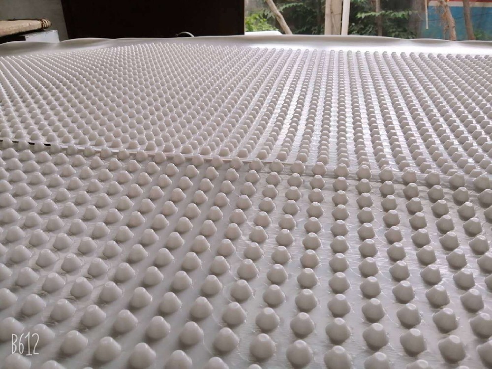 供應雅安各種用途蓄排水板排水板生產廠家