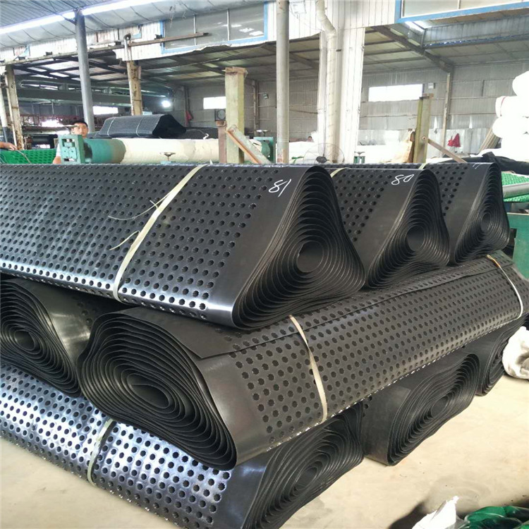 高凹凸型達(dá)標(biāo)排水板 嘉海廠家直供