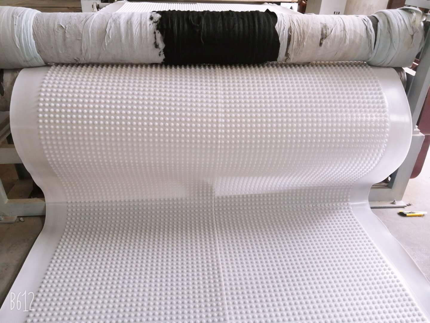 嘉海h25達標車庫排水板